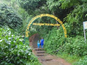 Coorg 2 Days Packages